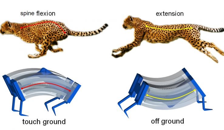 Inspired By Cheetahs, Researchers Build Fastest Soft Robots Yet !!