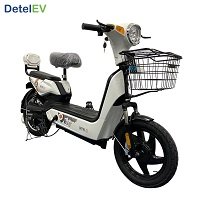 ditel easy bike price